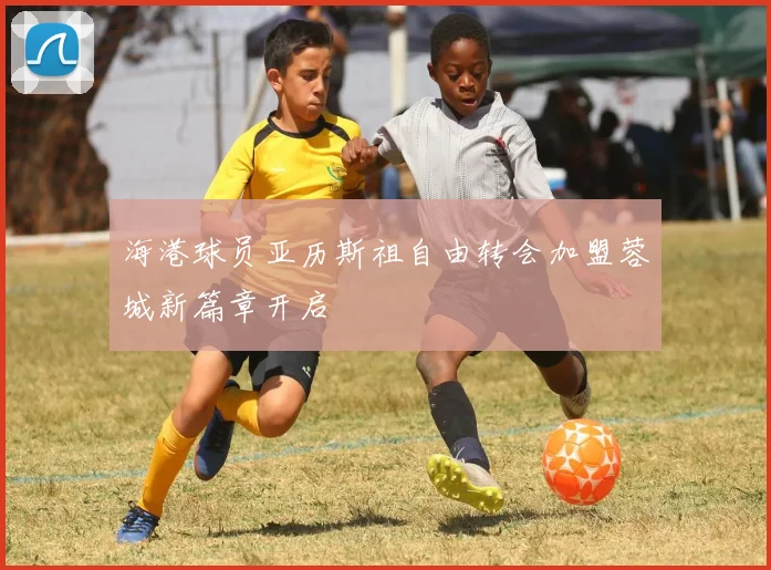 海港球员亚历斯祖自由转会加盟蓉城新篇章开启